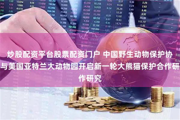 炒股配资平台股票配资门户 中国野生动物保护协会与美国亚特兰大动物园开启新一轮大熊猫保护合作研究